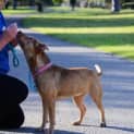 Photo of Molly Dl1063