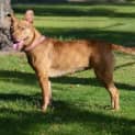 Photo of Molly Dl1063