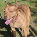 Photo of Molly Dl1063