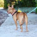 Photo of Molly Dl1063