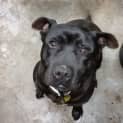 Photo of Max