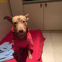 Photo of Molly Dl1063