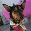 Photo of Ryver