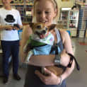 Photo of Sootie ~ Senior Mini Foxy, Girl (Trial 10/10/15)