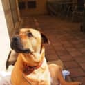 Photo of Missy Dl1024