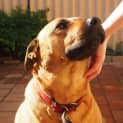 Photo of Missy Dl1024