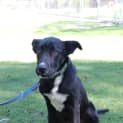 Photo of Horatio