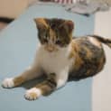Photo of Minnie