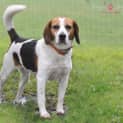 Photo of Roxy