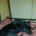 Photo of Amelia