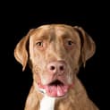 Photo of Hazel