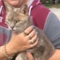Photo of Smokey