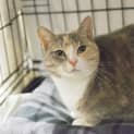 Photo of Greta