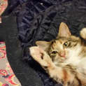 Photo of Miss Cooper