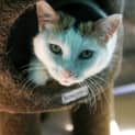 Photo of Buffy