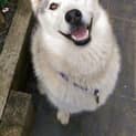 Photo of Narla