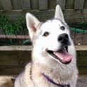 Photo of Narla