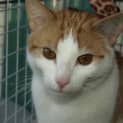 Photo of Oliver