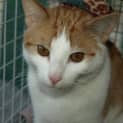 Photo of Oliver