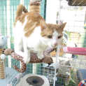 Photo of Oliver