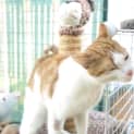 Photo of Oliver