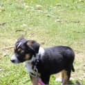 Photo of Trevor