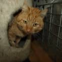 Photo of Marmos