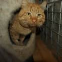 Photo of Marmos