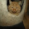 Photo of Marmos