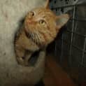 Photo of Marmos