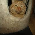 Photo of Marmos