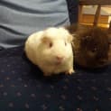 Photo of Bronte And Clementine