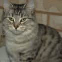 Photo of Elsa