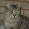 Photo of Elsa