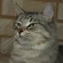 Photo of Elsa
