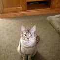 Photo of Elsa