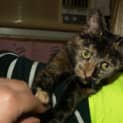 Photo of Gem
