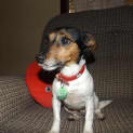 Photo of Jessie