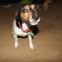 Photo of Jessie