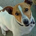 Photo of Rexie