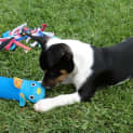 Photo of Astro *On Trial In His New Home*