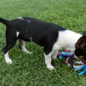 Photo of Astro *On Trial In His New Home*