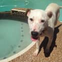 Photo of Jax