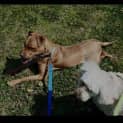 Photo of Delilah