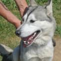Photo of Storm