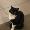 Photo of Charlotte   Located In St Kilda East