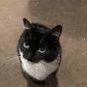 Photo of Charlotte   Located In St Kilda East