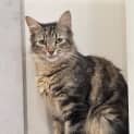 Photo of Reese Whiskerspoon