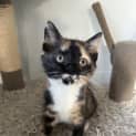 Photo of Maeve