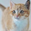 Photo of Lucas